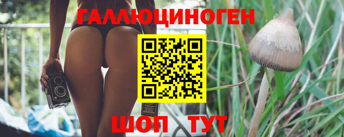 Псилоцибиновые грибы мухоморы  Вход с VPN  Элиста 
